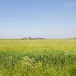 Daire Boerderij Near Schagen