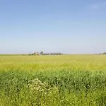 Daire Boerderij Near