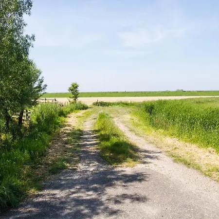 Boerderij Near Апартаменты