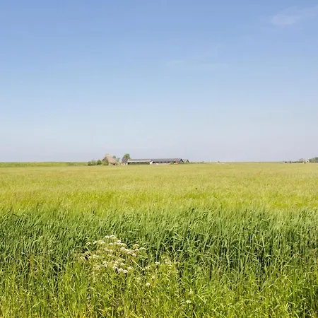 Апартаменты Boerderij Near